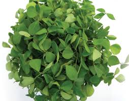Methi