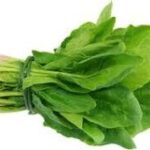Palak